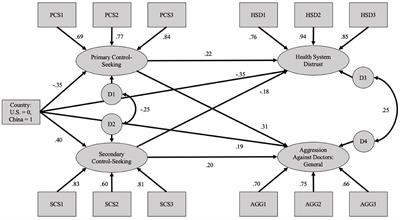 Culturally Grounded Scapegoating in Response to Illness and the COVID-19 Pandemic